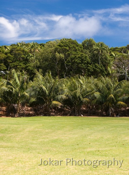 Lord Howe Island_20061214_113.jpg